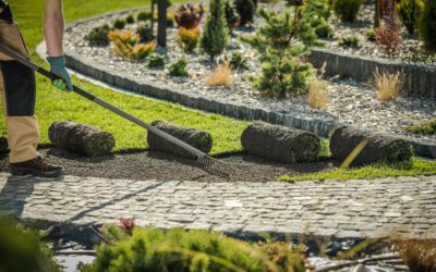 Maximizing Curb Appeal: Landscaping Tips For Your Home